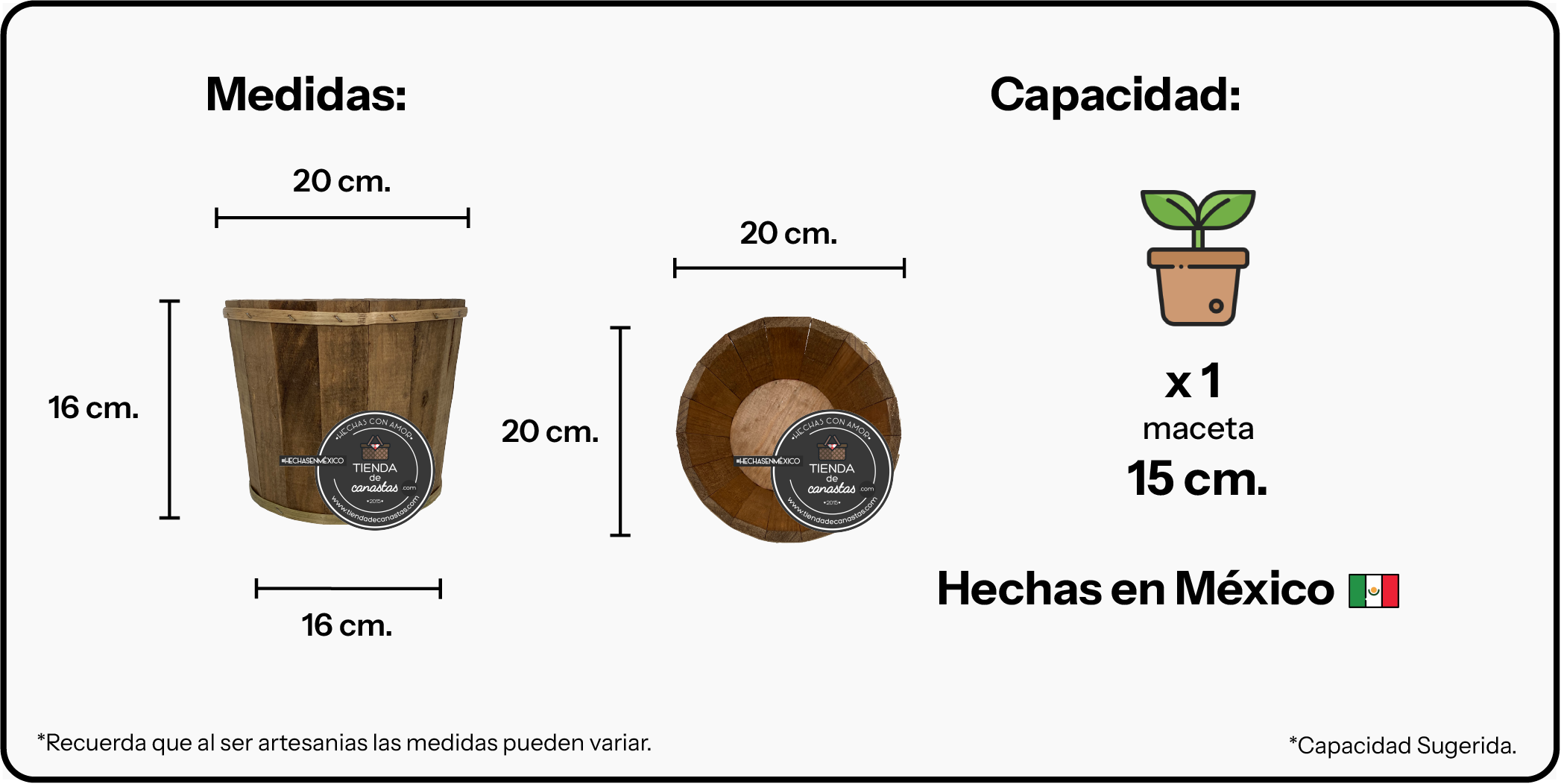 Medidas Bote Cactus Chico x Tienda de Canastas
